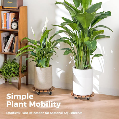 Bamworld Plant Caddy 12 Inch Rolling Tray with Wheels 2 Pack