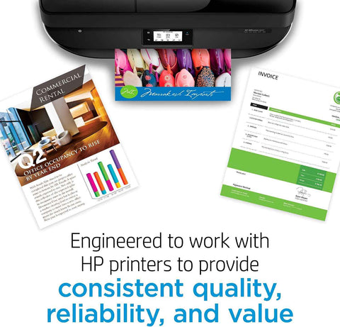 HP 923 Black Ink Cartridge | Works with OfficeJet 8120, Pro 8130 Series | 4K0T3LN