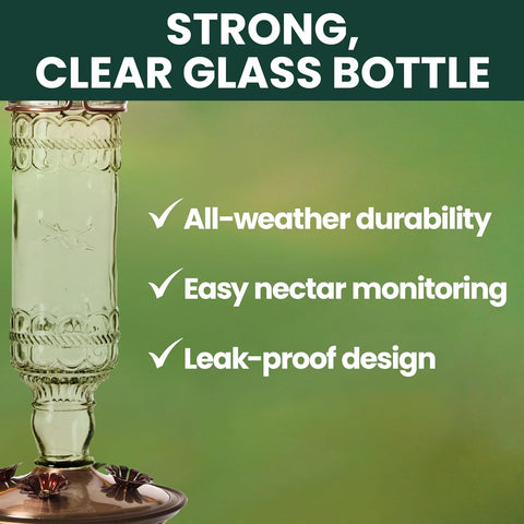 Perky-Pet Antique Glass Bottle Hummingbird Feeder - Outdoor Garden Décor Hummingbird Feeder - 8107-1SR - 10 Fl Oz Nectar Capacity - Durable Humming bird Feeder for Backyards, Porches, Decks, Hooks