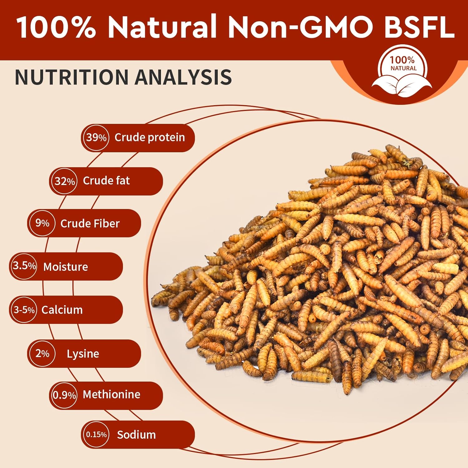 BUNTIE WORMS 10LB Dried Black Soldier Fly Larvae for Chickens Food