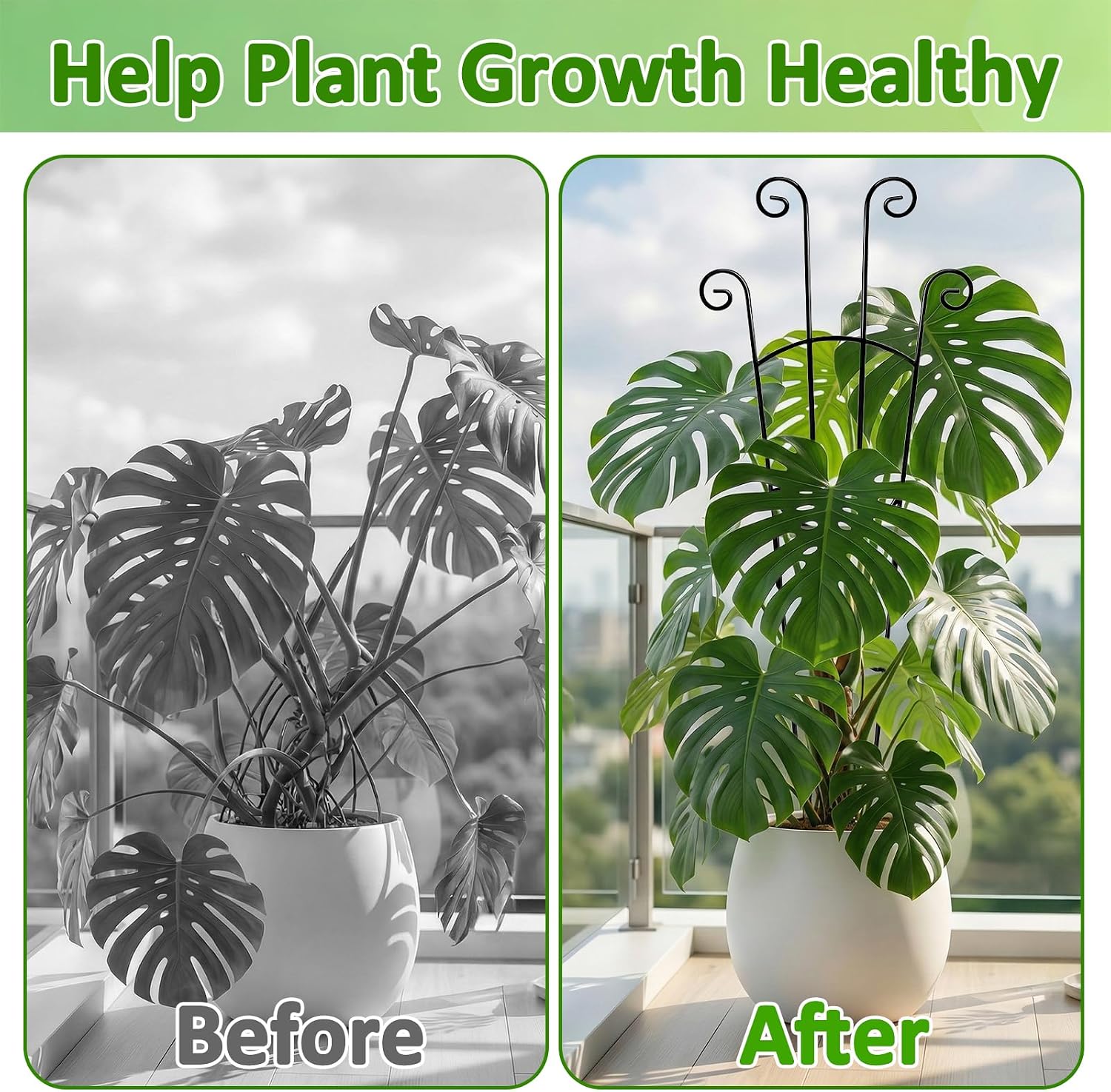 Monstera Plant Support - 4-Pack of 32.6" Tall Plant Trellis Stakes for Large Indoor Vines | Adjustable Dual Pole Frame for Monstera Deliciosa & Potted Plants