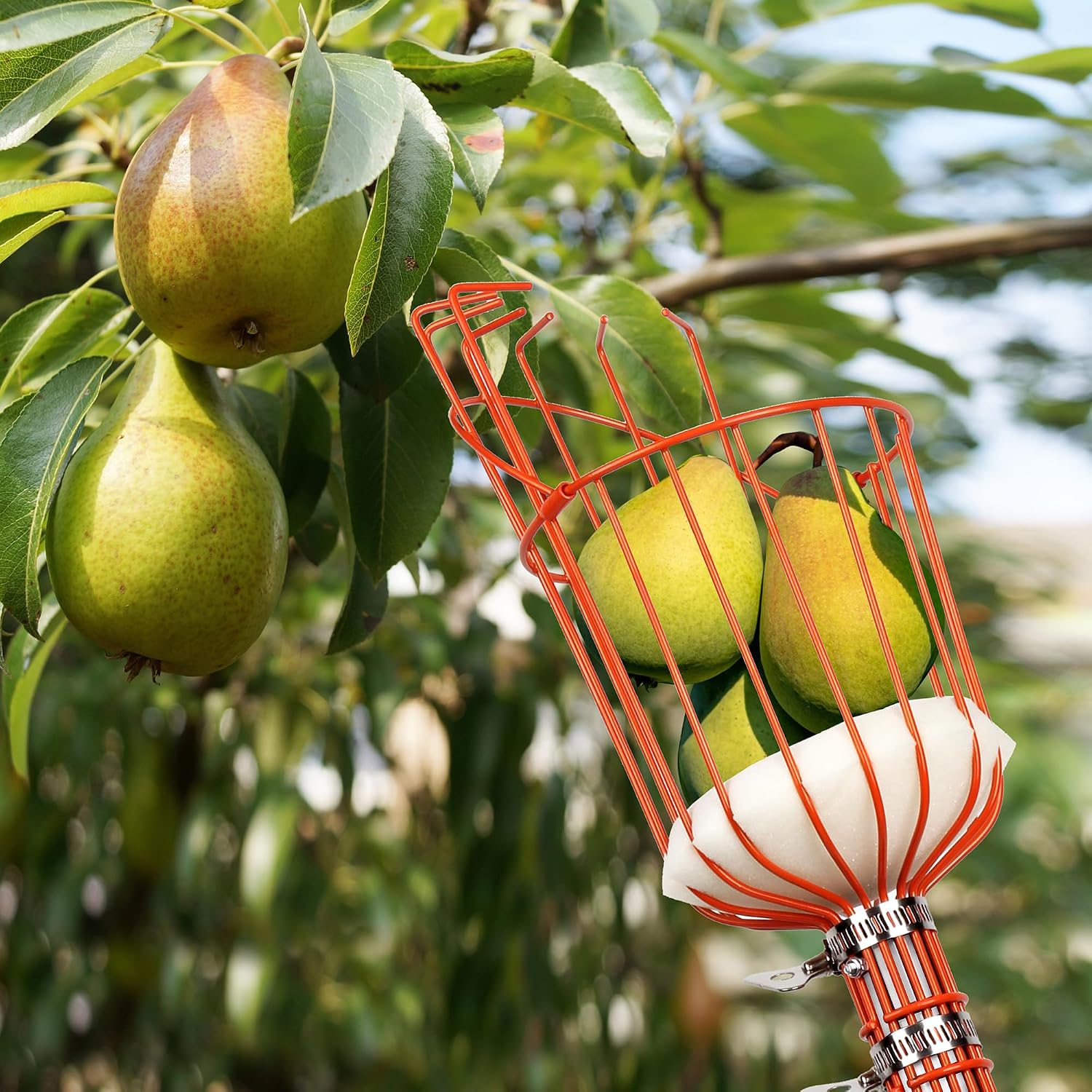 Walensee 23FT Fruit Picker with Basket, 35-276 Inch Ultra-Long Mango Picker Pole, Heavy Duty Cherry Picker Tool for High Tree, Citrus Apple Avocado Pear Lemon Orange Picking, with Storage Bag