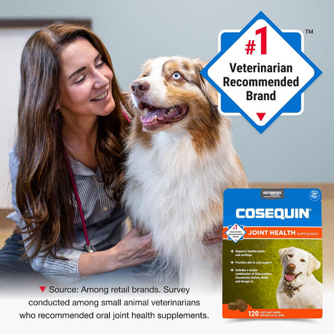 Nutramax Cosequin Joint Supplement for Dogs, Skin & Coat, Soft Chews,120ct