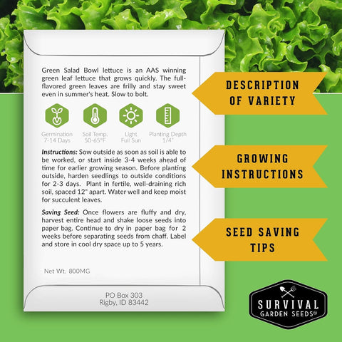 Leafy Greens Seeds Variety Pack – 5 Heirloom Collection