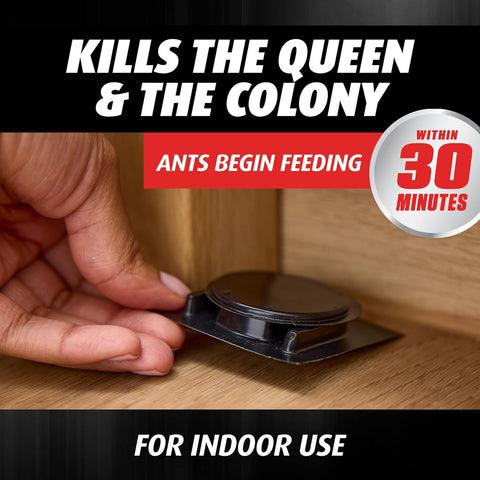 Ortho Orthene Ant Killer Ant Bait, 12 Bait Stations