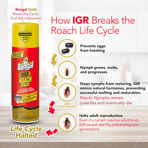 Bengal Gold Roach Spray Dry Aerosol Indoor Roach Killer - 11 oz - 3 Pack