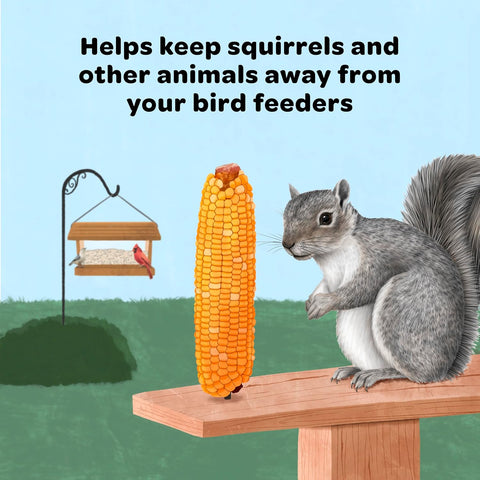Kaytee Corn on the Cob for Wildlife Feeding, Squirrels & Deer, 6.5 lb