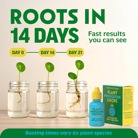 Plant Propagation Rooting Drops - Liquid Root Growth Hormone for Cuttings
