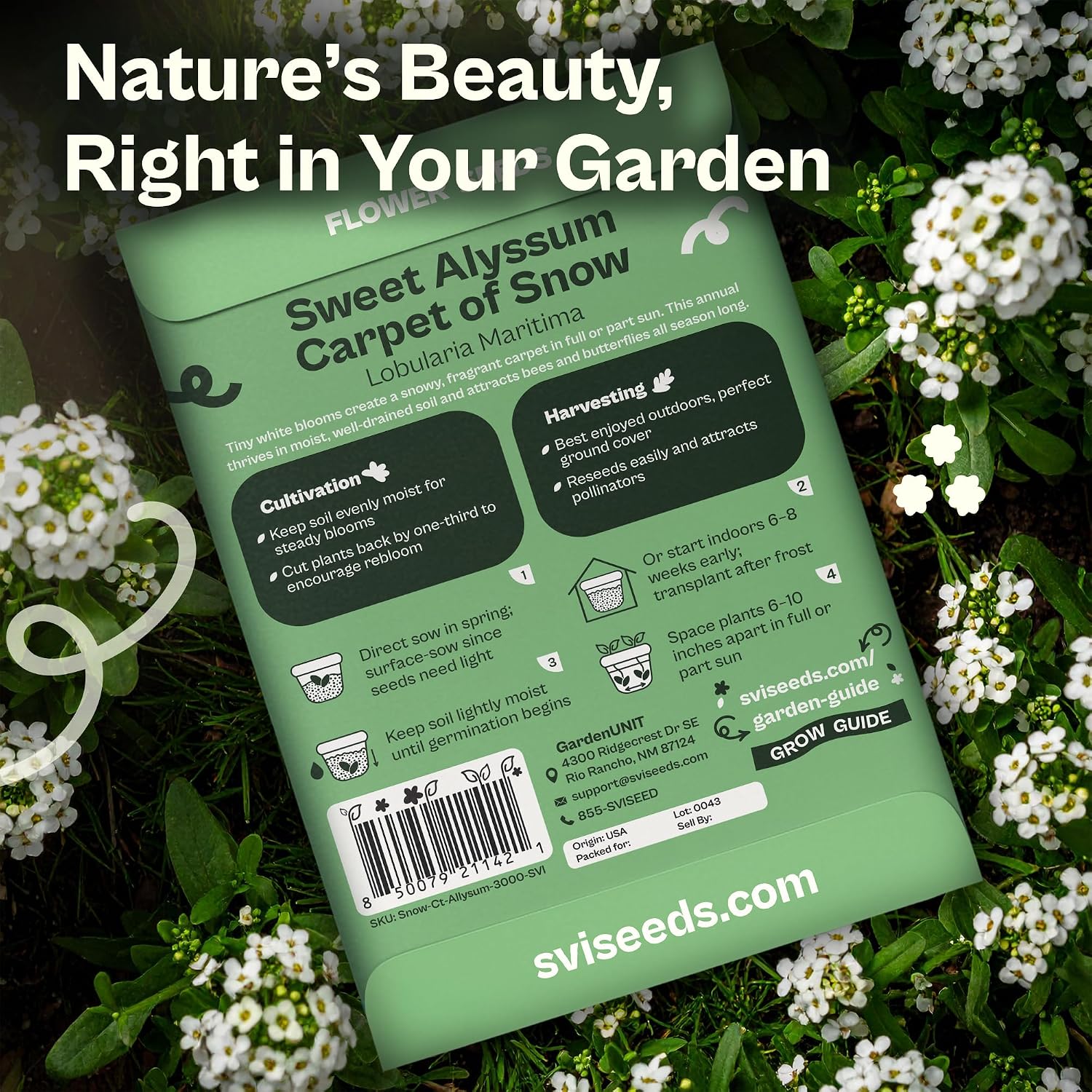 SVI 3000 Carpet of Snow Sweet Alyssum Seeds (Lobularia maritima) – White Sweet Alyssum Seed Packets Bulk – Ground Cover Seed Pack, Flower Seeds for Outside, Containers, Flower Beds