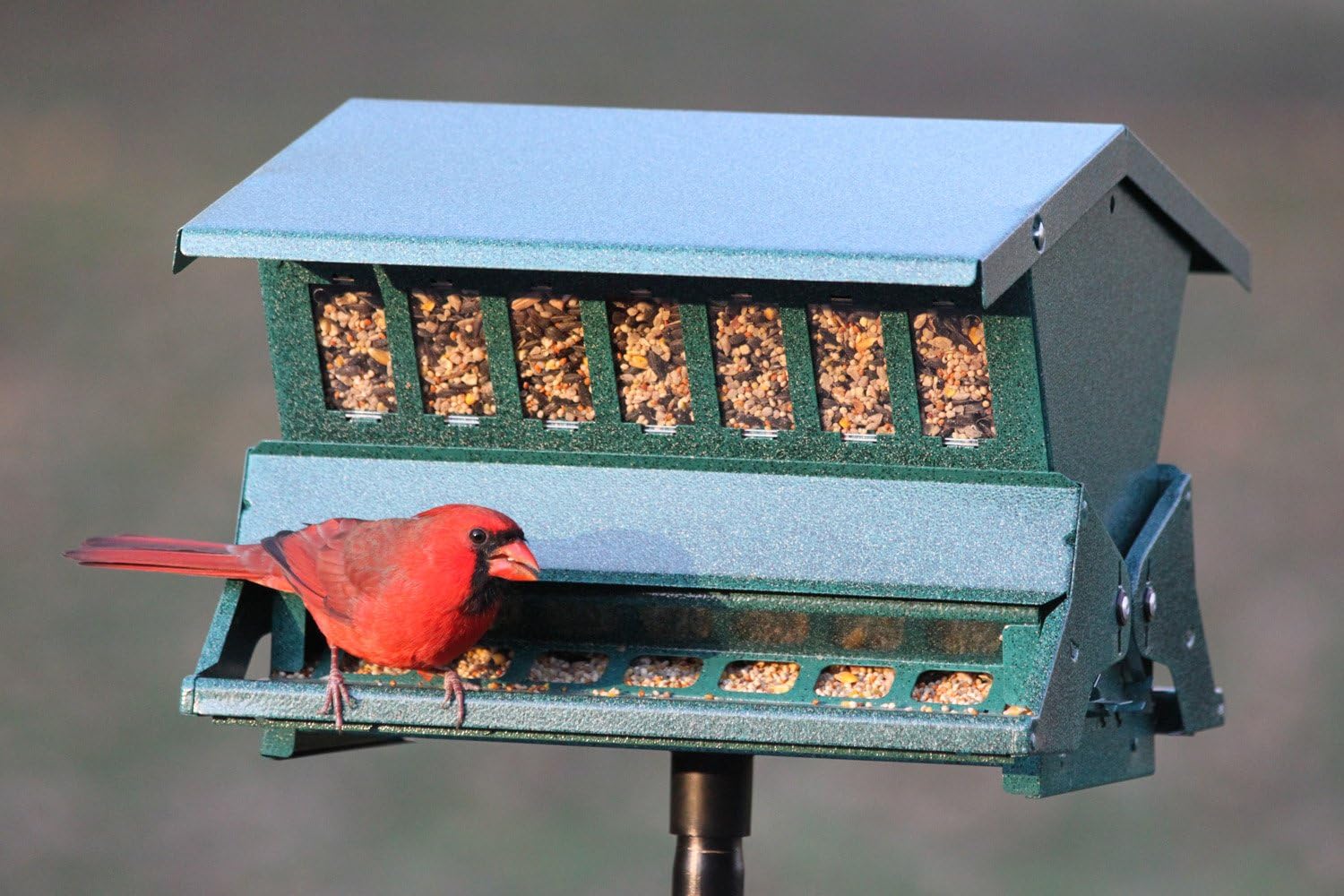 Woodlink Absolute II Squirrel Resistant Bird Feeder Model 7536, 12 lbs, Model:301045