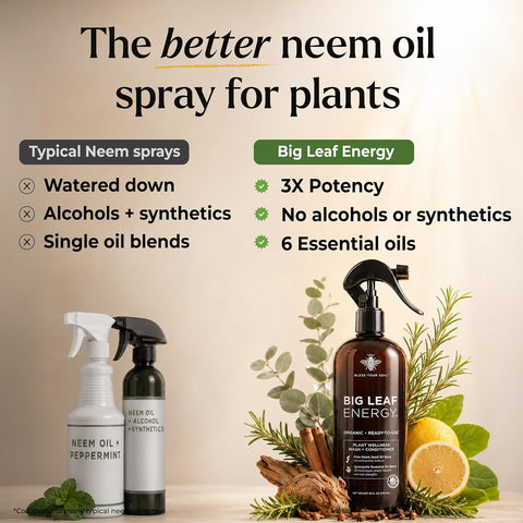 Big Leaf Energy Organic Neem Oil Spray for Plants, Indoor + Outdoor, 16oz