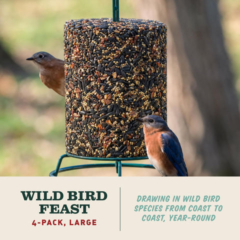 Mr. Bird WildBird Feast Cylinder, 4-Pack, 4 lbs