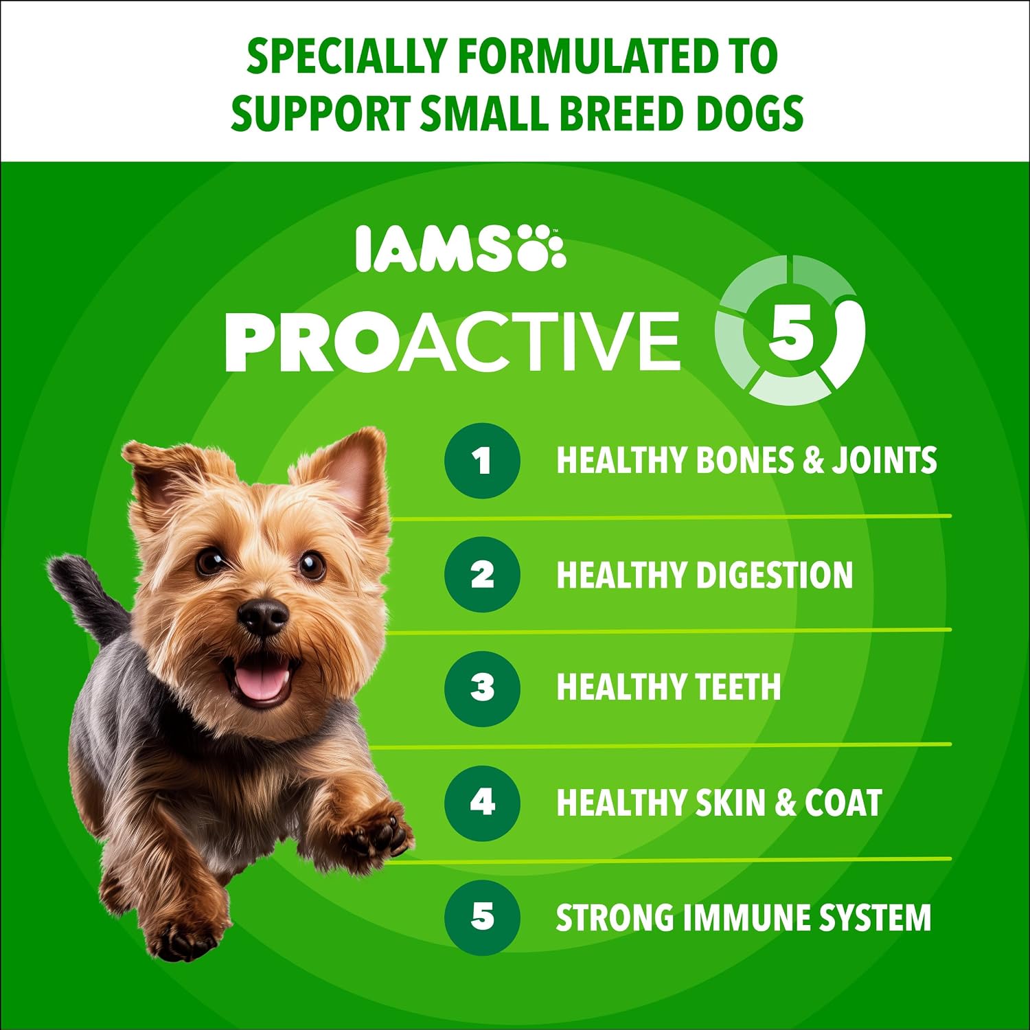 IAMS Proactive Health Small Breed Dry Dog Food, Chicken & Grain, 5 lb