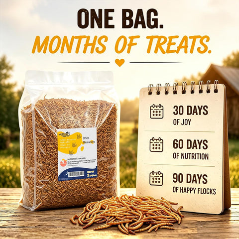 RANZ 2LB Dried Mealworms for Chickens & Wild Birds, Chicken Food