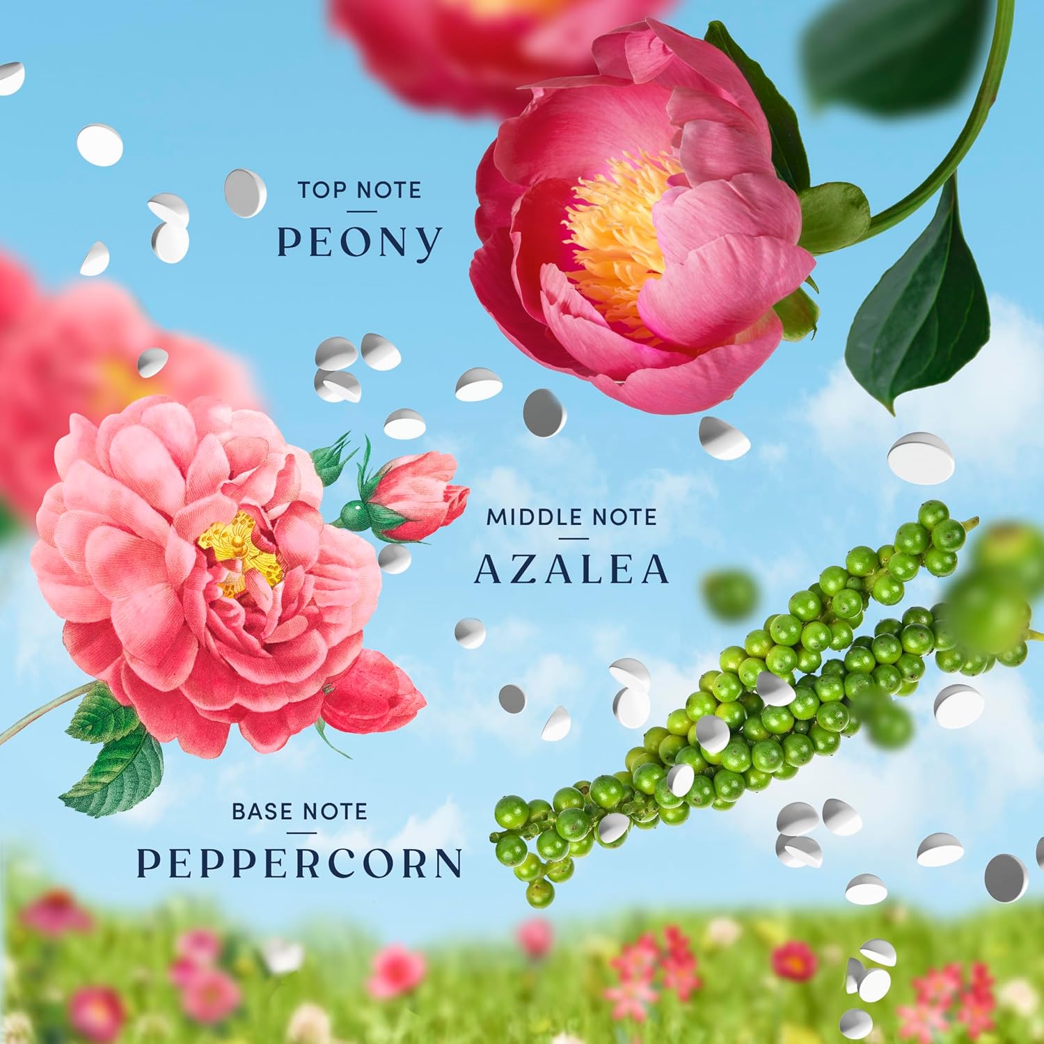 Downy Boutique Botanicals In Wash Laundry Scent Booster Beads, Boutique Fragrances inspired by the Artistry of Nature, PEONIA Scent, 21.1 oz