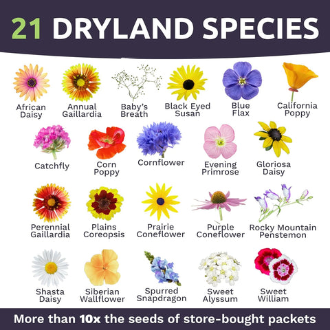 Drought Tolerant Wildflowers Mix – Bulk 5 Pounds – Over 600,000 Open Pollinated Non-GMO Seeds – 21 Different Dryland Species
