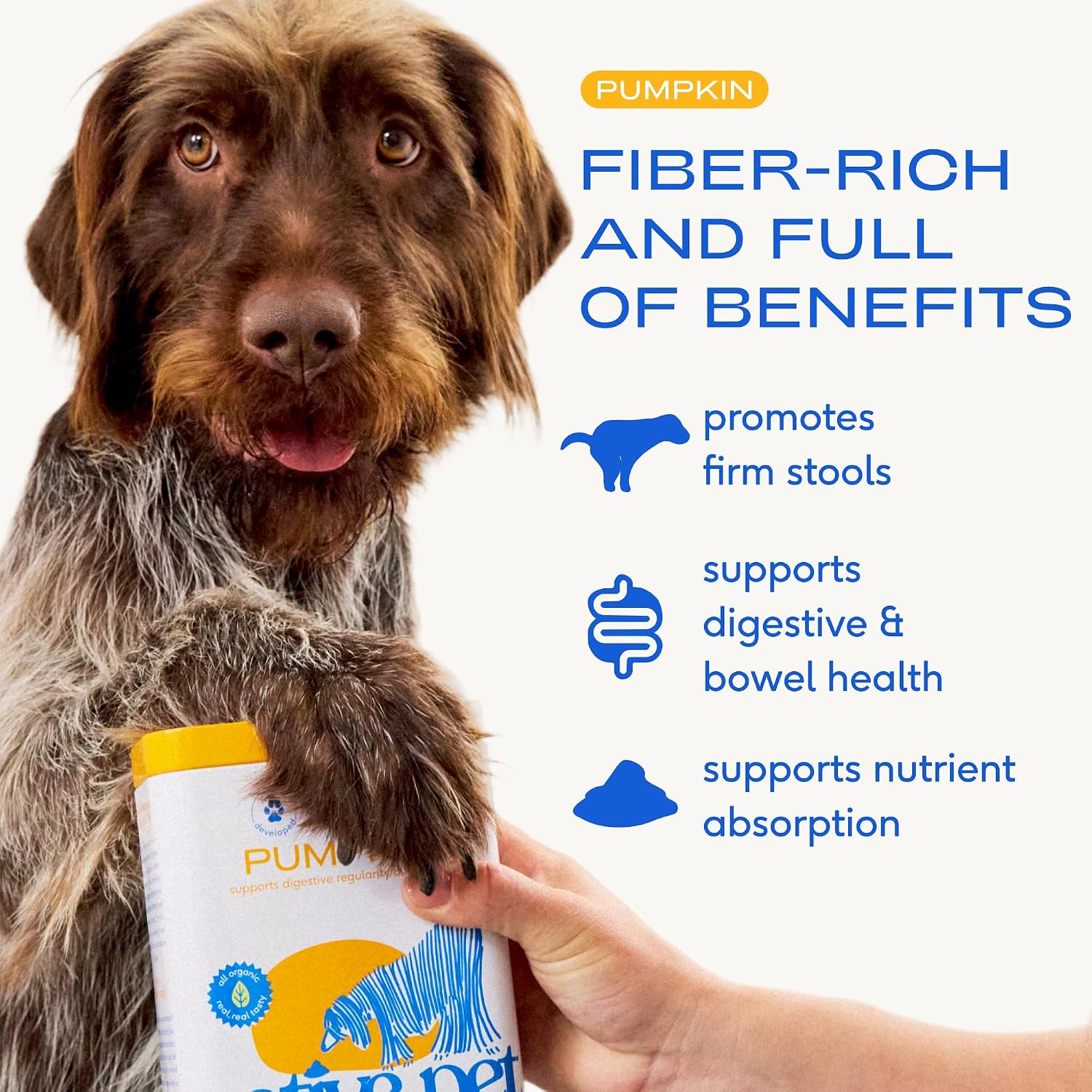 Native Pet Pumpkin for Dogs - Organic Dog Food Topper Powder - Promotes Firm Stools, Supports Digestive, Bowel Health & Nutrient Absorption - USDA Organic, Rich in Fiber with Real Pumpkin - 30 Scoops