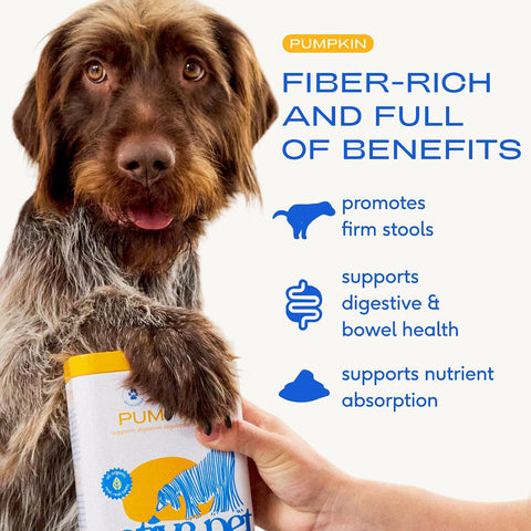 Native Pet Pumpkin for Dogs - Organic Dog Food Topper Powder - Promotes Firm Stools, Supports Digestive, Bowel Health & Nutrient Absorption - USDA Organic, Rich in Fiber with Real Pumpkin - 30 Scoops
