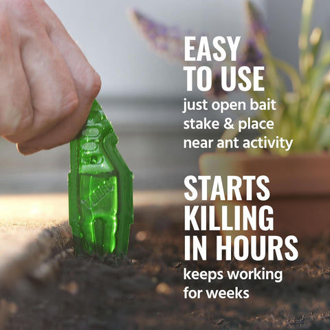 TERRO Outdoor Liquid Ant Bait Stakes, 12-Pack, Ready-to-Use Ant Killer Trap