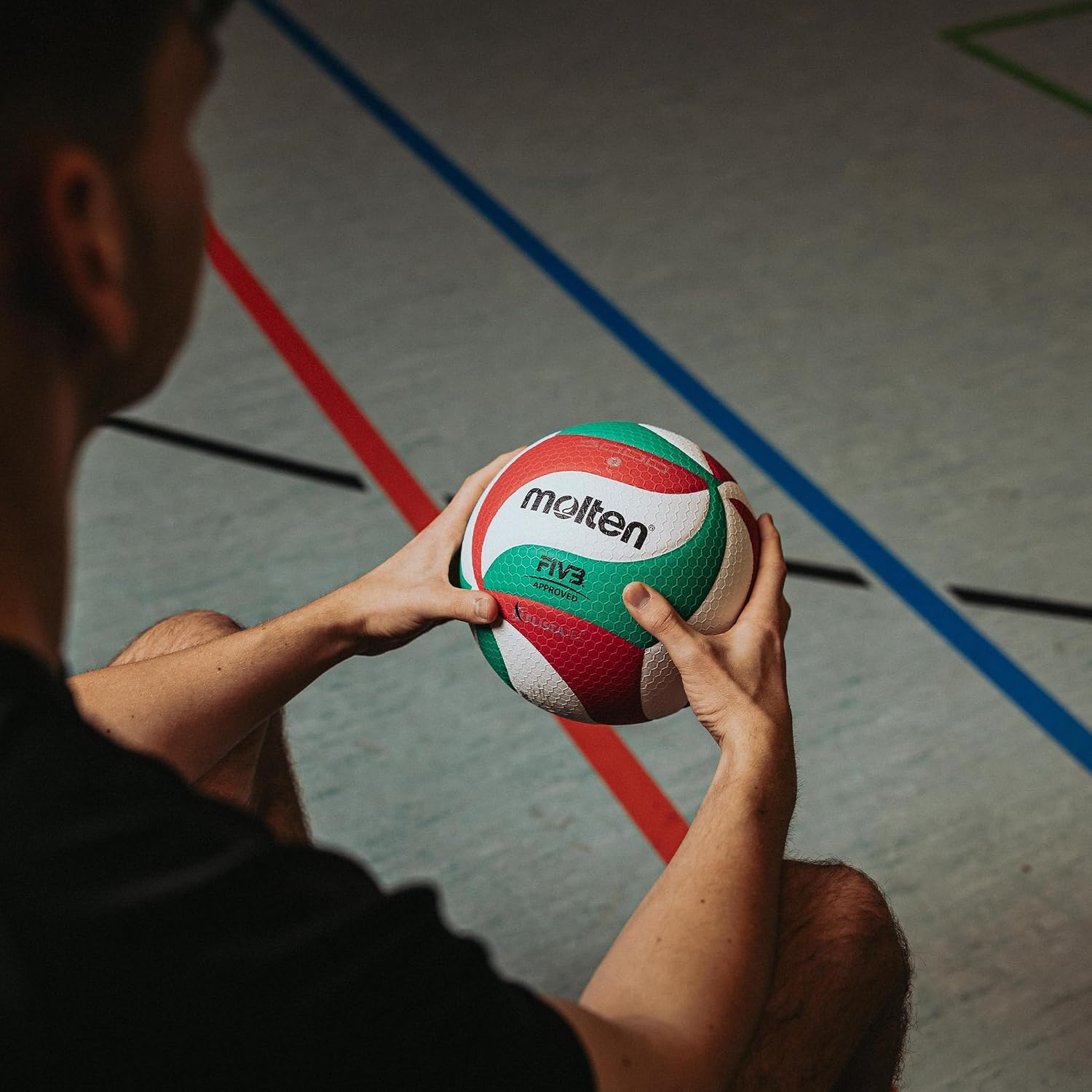 Molten Volley Ball