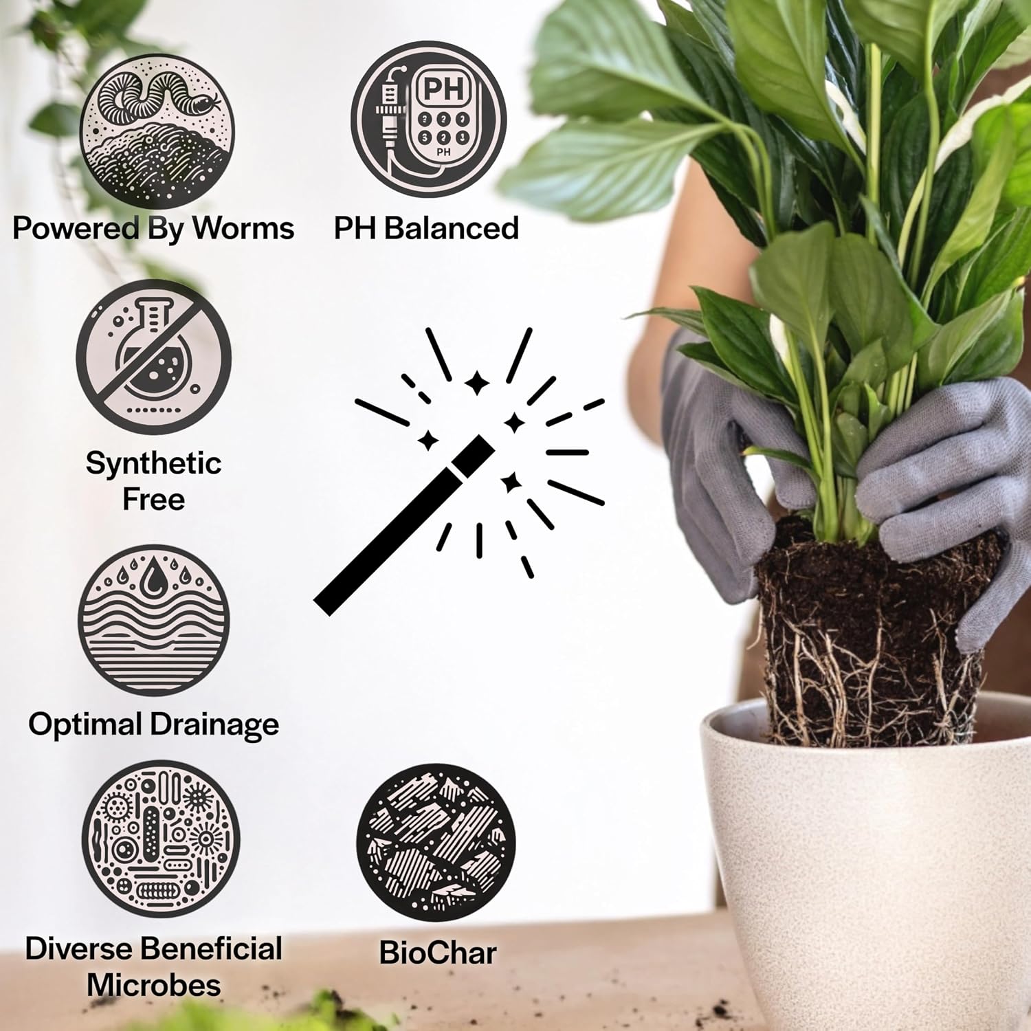 Craft Organic Houseplant Potting Mix, Elite House Plant Soil, Chunky, Well Draining Potting Soil for All Indoor Plants, Tropical Plants & Flowers, Sustainable & Peat Free, Less Prone to Gnats, 2QT