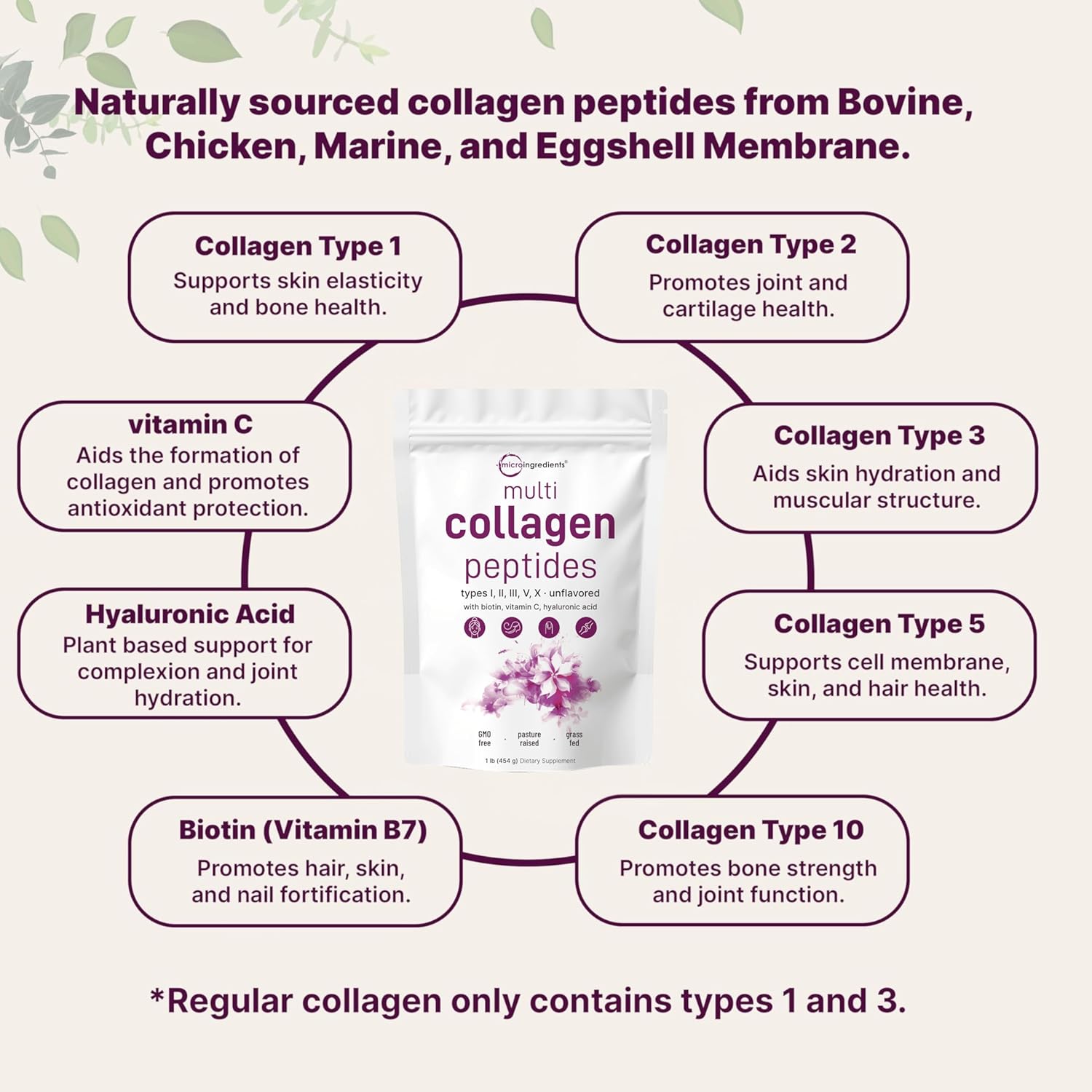 Micro Ingredients Multi Collagen Peptides Powder, 1lb (41 Servings)