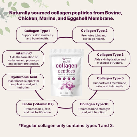 Micro Ingredients Multi Collagen Peptides Powder, 1lb (41 Servings)
