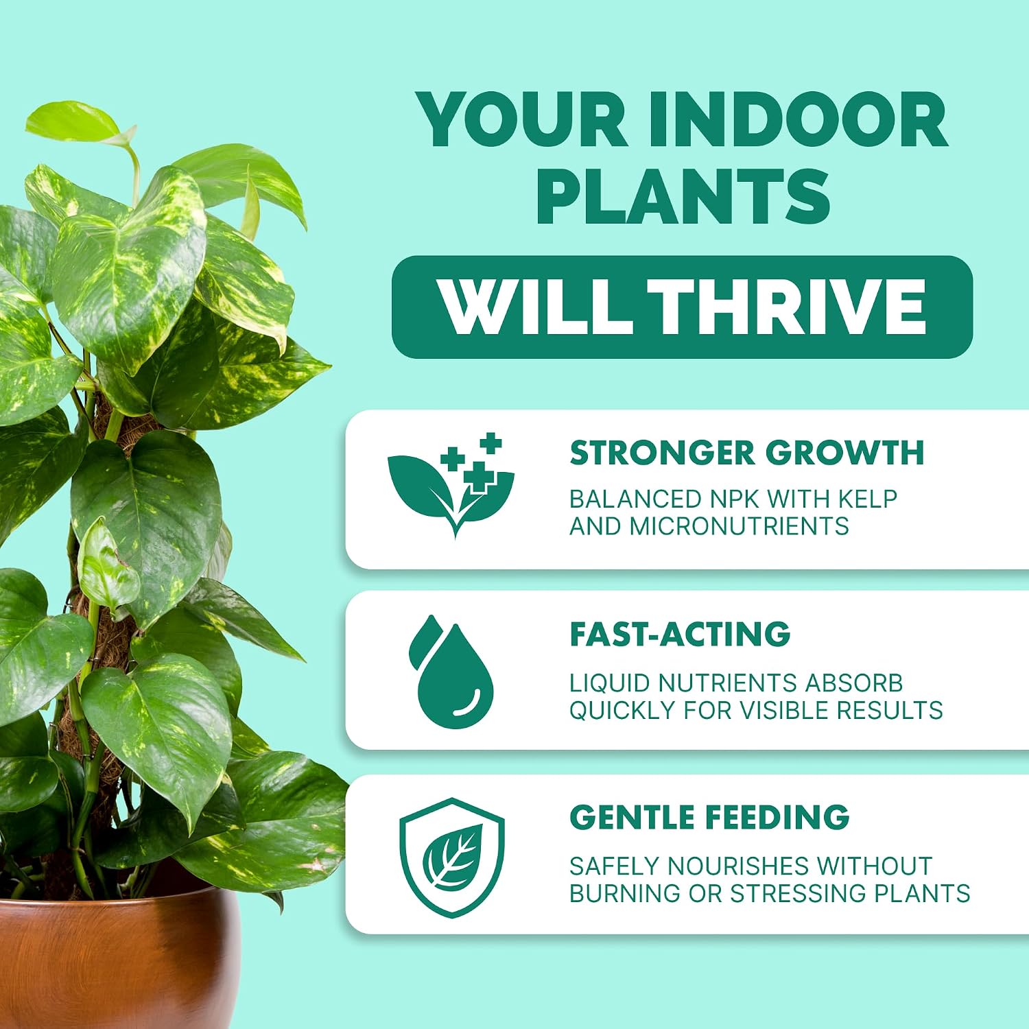 Indoor Plant Food, Complete Liquid Fertilizer for Houseplants, 8oz