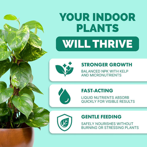 Indoor Plant Food, Complete Liquid Fertilizer for Houseplants, 8oz