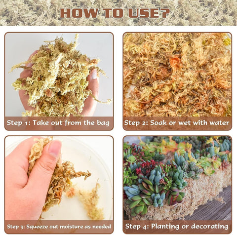 ZeeDix 4 qt Sphagnum Moss for Indoor Plants, Natural Dried Long Fiber Moss for Orchid Repotting, Carnivorous Plants, Succulents, Monstera, Flower & Reptile Terrariums Habitats (3 oz)