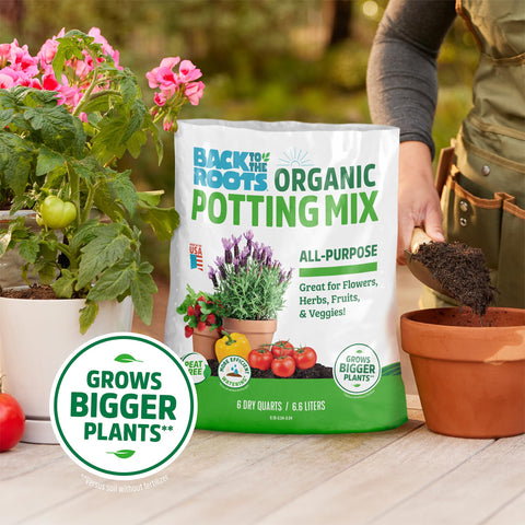 Back to the Roots 100% Organic Potting Mix (Value 12 Quart) | Premium Blend | Made in The USA