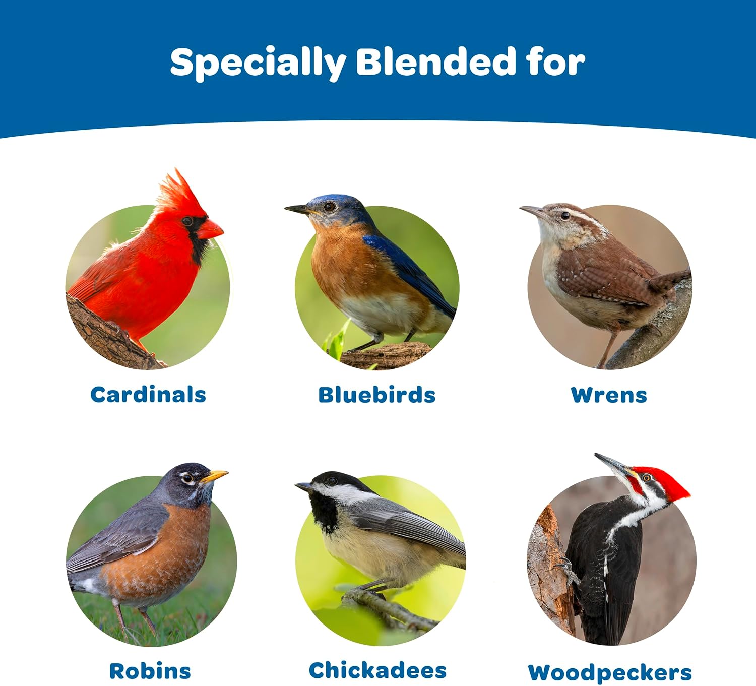 Kaytee Wild Bird Gourmet Seed Cake For Cardinals, Chickadees, Juncos, Titmice, Woodpeckers and More, 2 Pounds