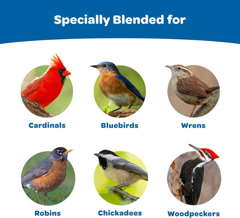 Kaytee Wild Bird Gourmet Seed Cake For Cardinals, Chickadees, Juncos, Titmice, Woodpeckers and More, 2 Pounds