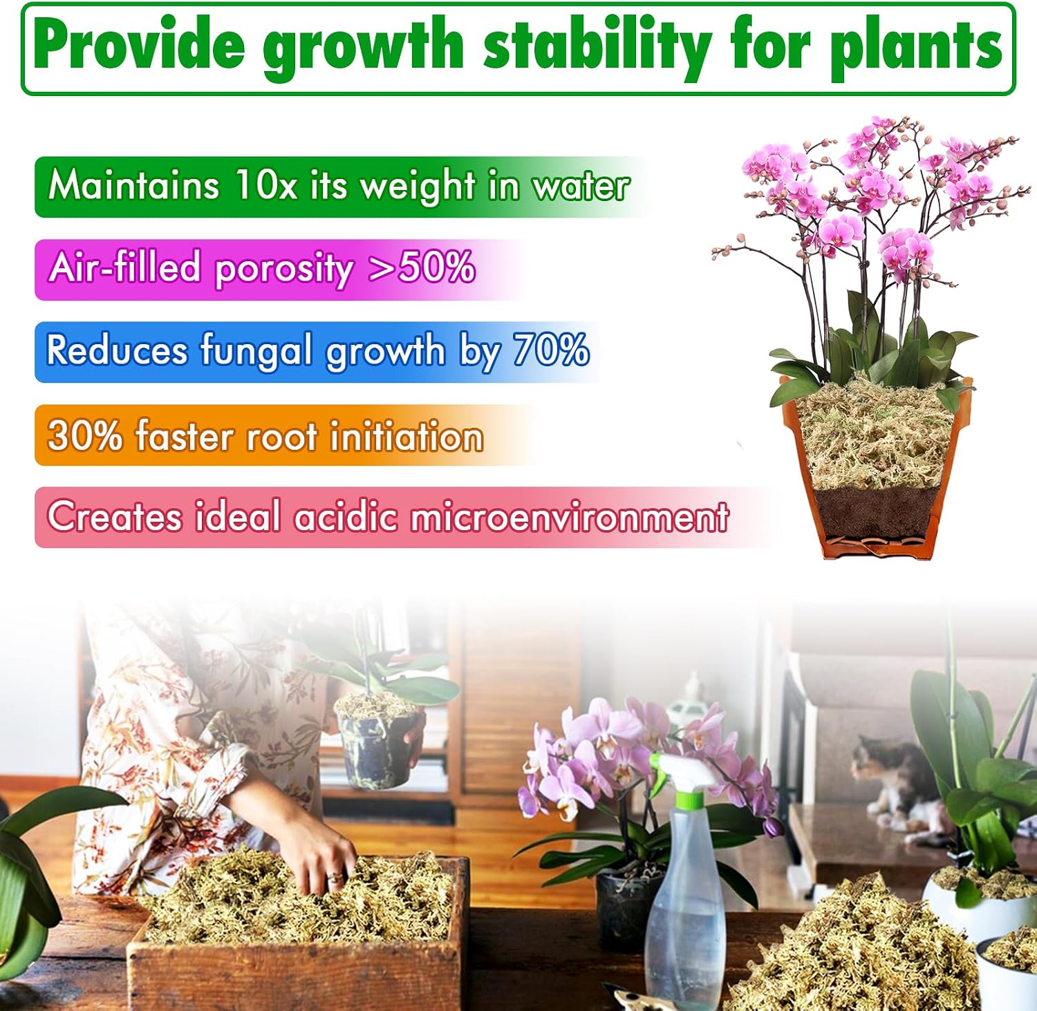 ZeeDix 4 qt Sphagnum Moss for Indoor Plants, Natural Dried Long Fiber Moss for Orchid Repotting, Carnivorous Plants, Succulents, Monstera, Flower & Reptile Terrariums Habitats (3 oz)