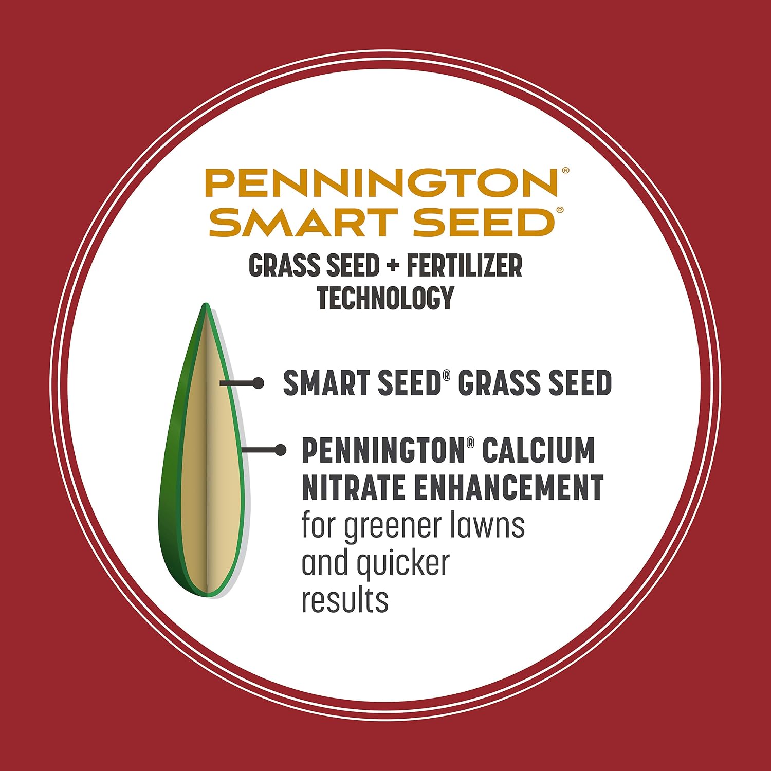 Pennington Smart Seed Perennial Rye Grass Seed Plus Fertilizer, 3 lb