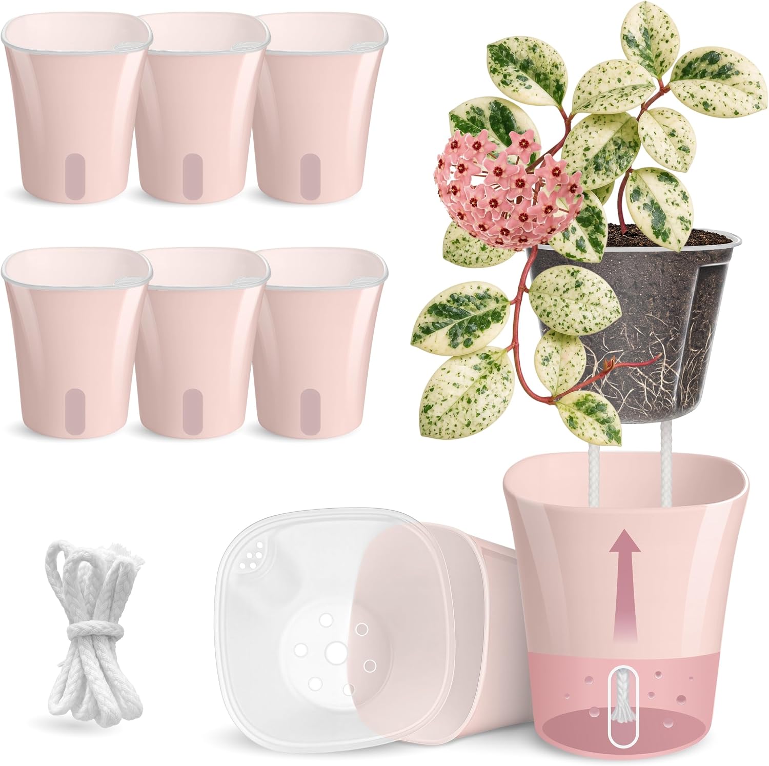 8 Pack 4" Self Watering Pots for Indoor Plants, Clear Inner Cup, Small Pink Plastic Planters, Water Level Indicator, Drainage Holes, Extra 3ft Wick, Cuttings,Seedlings,Herb,African Violets