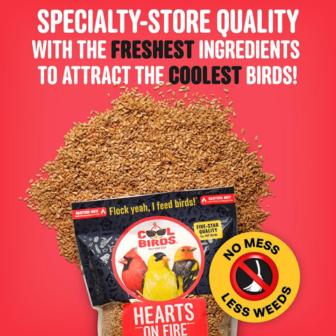 Cool Birds Hearts on Fire Hot Bird Seed, 10 lb