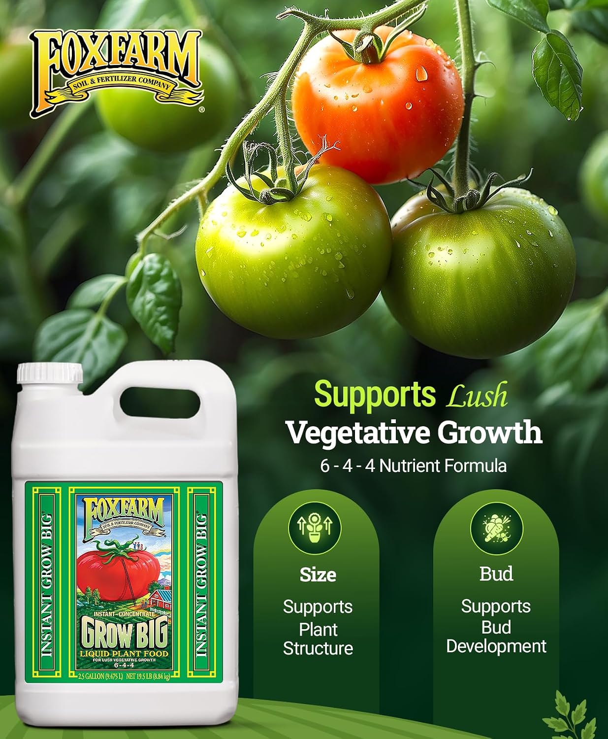 FoxFarm Grow Big Liquid Plant Food - 6-4-4 House Plant Fertilizer for Lush Vegetative Growth, Fast Nutrient Uptake for Roses, Tomatoes & Veggies - 2.5 Gallon Size Concentrate