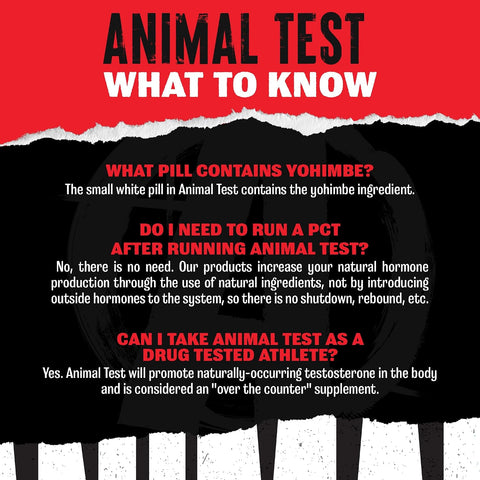 Animal Test Testosterone Booster Supplement for Men | 21 Day Pill Packs