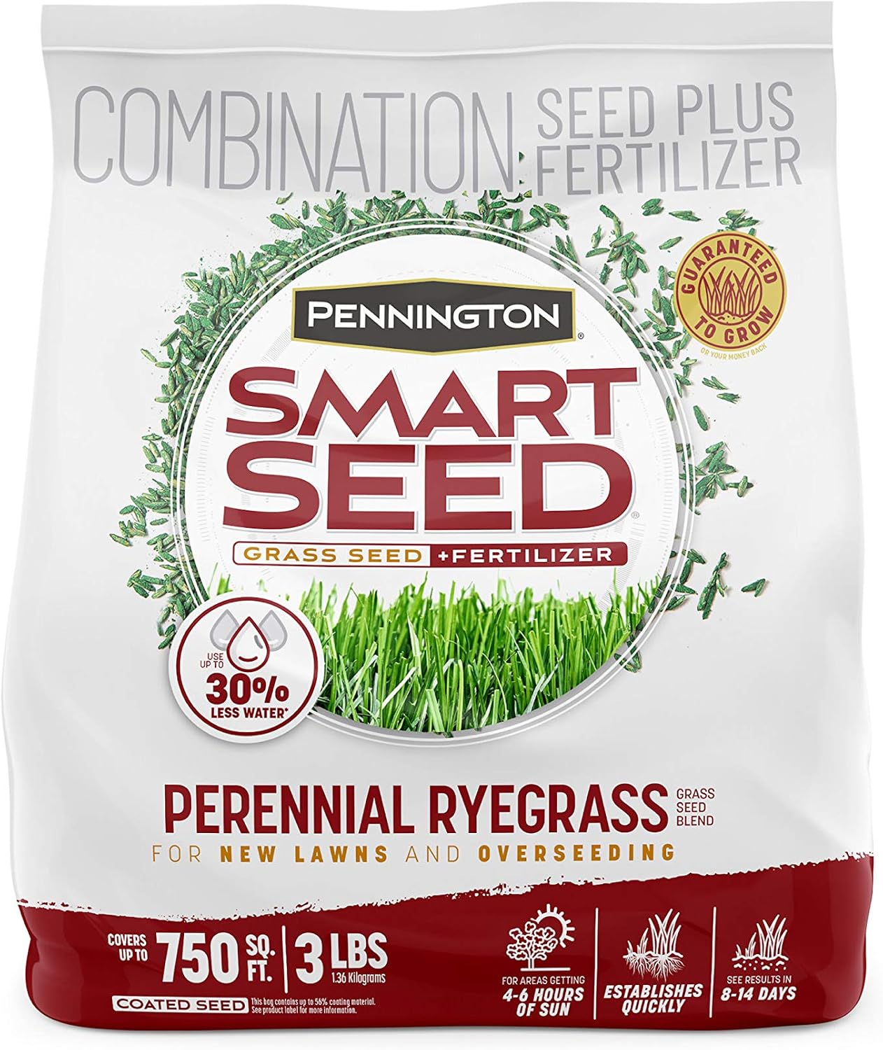 Pennington Smart Seed Perennial Rye Grass Seed Plus Fertilizer, 3 lb