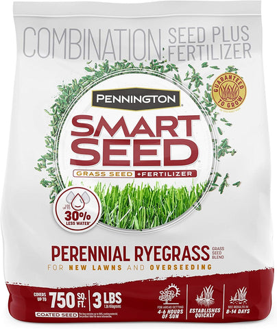 Pennington Smart Seed Perennial Rye Grass Seed Plus Fertilizer, 3 lb