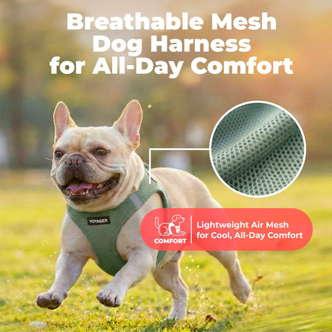 Voyager Step-in Air Dog Vest Harness - Moss Green, Medium