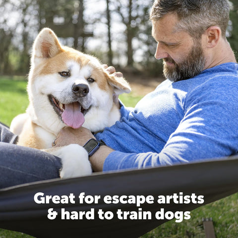 PetSafe Stubborn Dog In-Ground Fence Collar