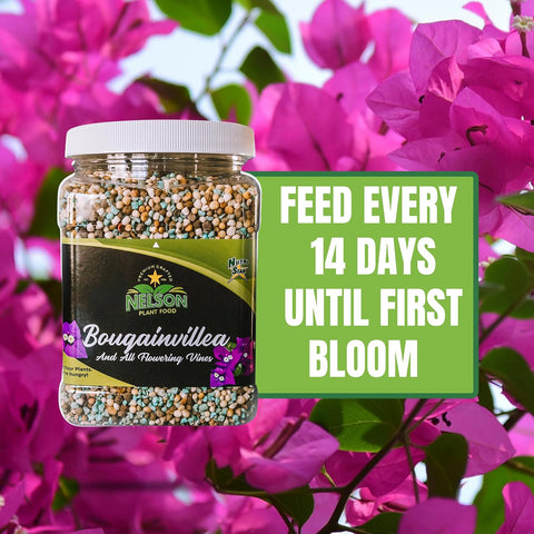 Nelson Bougainvillea & All Flowering Vines Food Trumpet Wisteria Honeysuckles Indoor Outdoor Granular Fertilizer NutriStar 17-7-10 (25 LB)