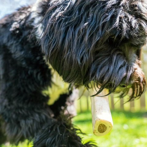 Cadet Stuffed Shin Bones for Dogs, Peanut Butter Flavor, Large, 5-6"