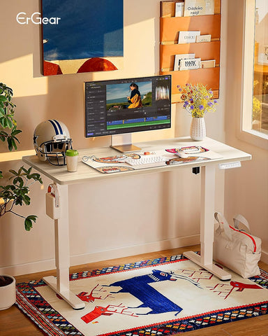 ErGear Height Adjustable Electric Standing Desk, 44 x 24 Inches Sit Stand up Desk, Memory Computer Home Office Desk, Natural