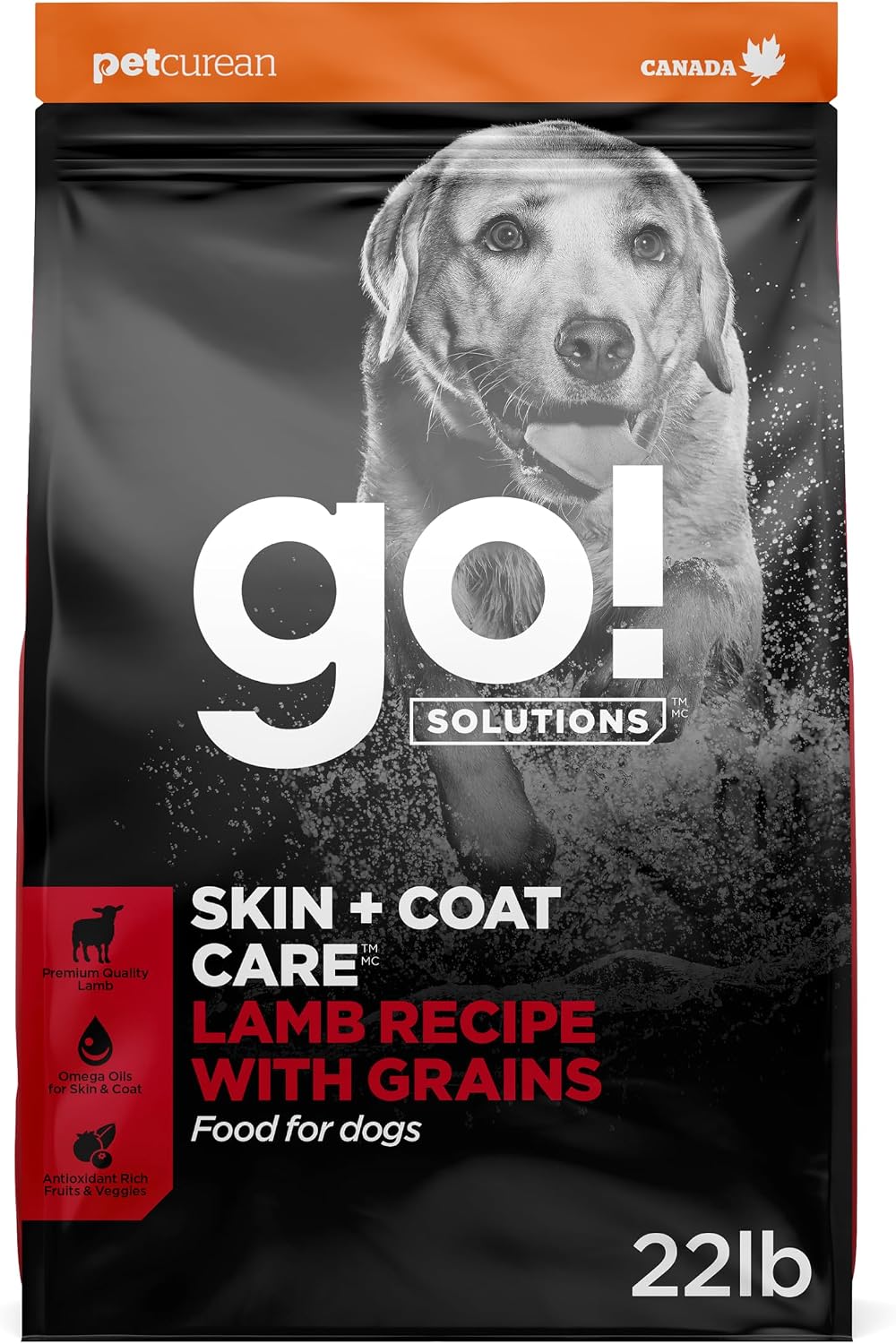 Go! Solutions Skin + Coat Care Lamb Dry Dog Food with Grains, Chicken-Free, Healthy Kibble with Omega-3s & 6s for Soft, Shiny Fur, for Puppies, Adults, & Seniors, 22 lb Bag