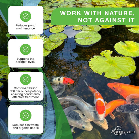 Aquascape 98950 Beneficial Bacteria Water Treatment Dry - 3.2 kg/7 lbs for Pond Water Feature Waterfall | Provides Clean, Clear and Healthy Water Conditions and Reduces Pond Maintenance