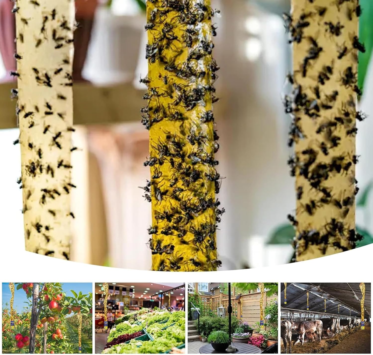 24 Pcs Fly Trap Strips Indoor Outdoor, Fruit Fly Paper Tape Sticky with Pin