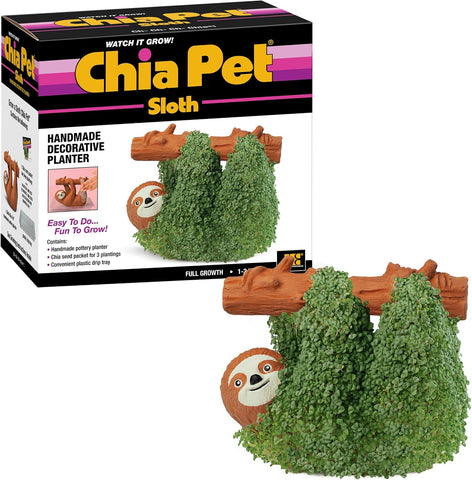 Chia Pet Classic Dinosaur Terracotta Planter with Seed Pack